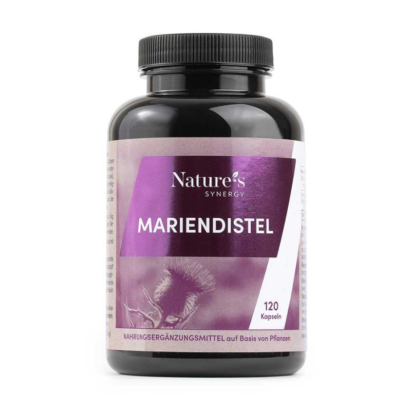 Mariendistel