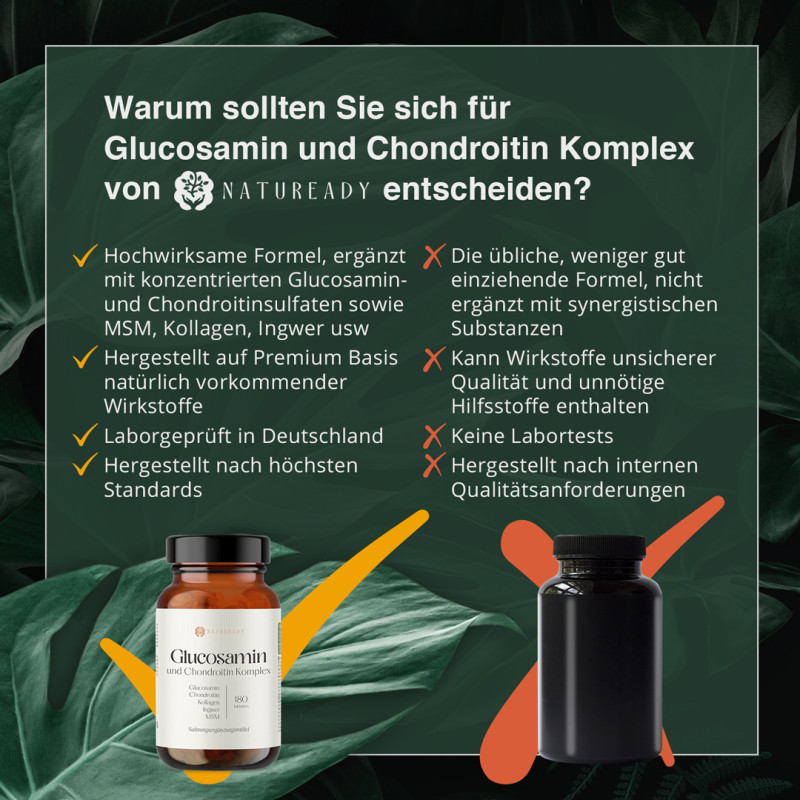 Glucosamin und Chondroitin Komplex