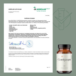 Cordyceps